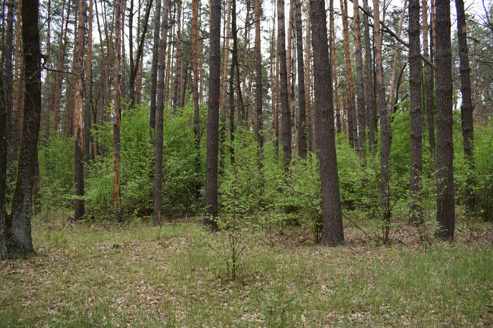 ОГОЛОШЕННЯ про початок громадського обговорення звіту з оцінки впливу на довкілля