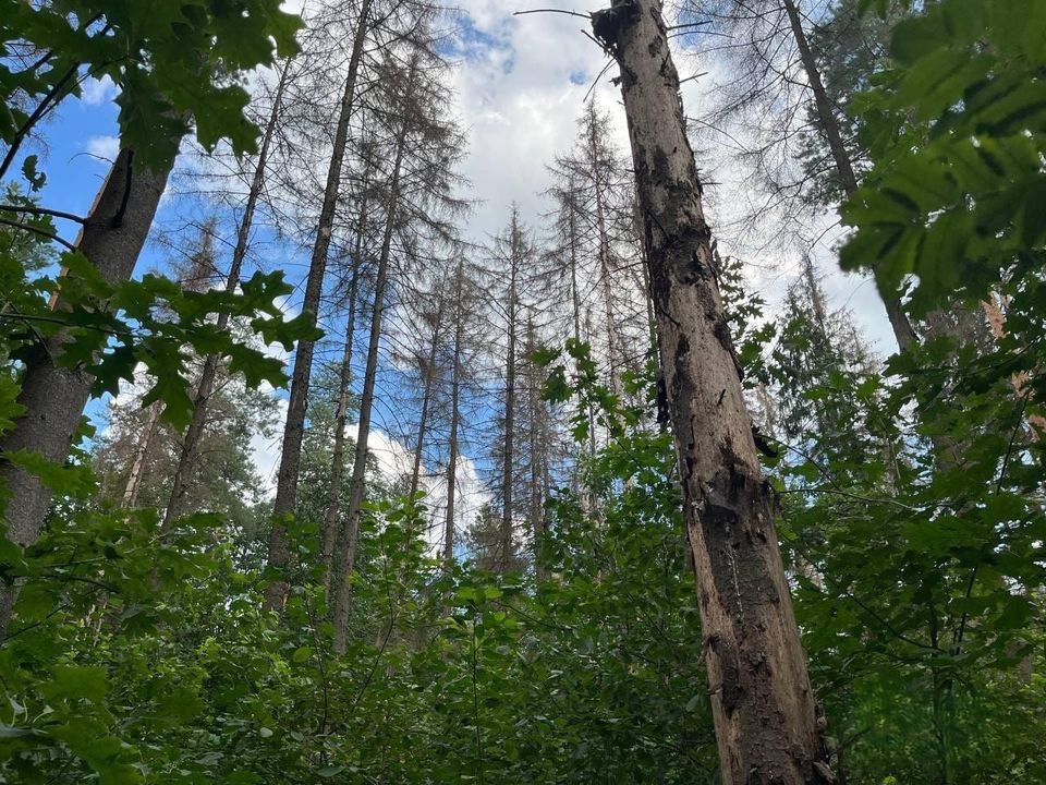 ПОВІДОМЛЕННЯ про проведення комісійного обстеження
