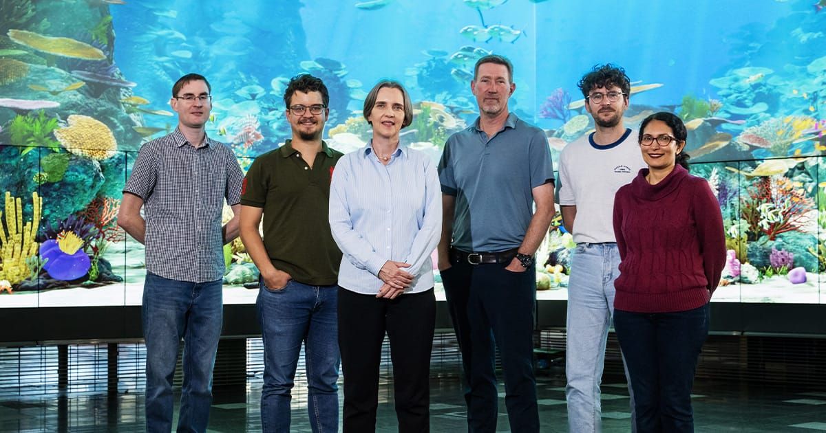 Sticking to reef restoration