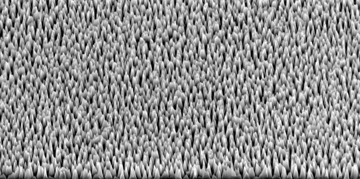 Silicon spikes take out 96% of virus particles