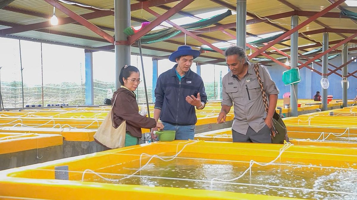 Changing the tide: New project aims to shift attitudes around fish welfare practices