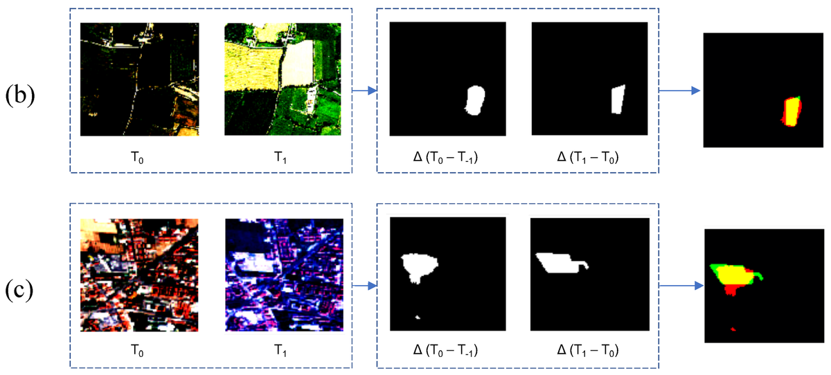 Tech on the treetops: How AI can protect forests