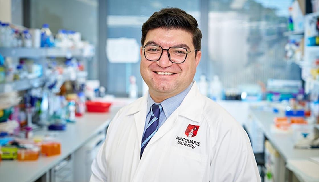 DNA 'glue' could help prevent and treat diseases triggered by ageing