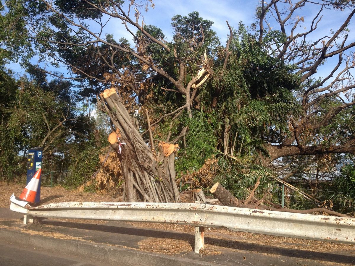 New project to tackle disaster waste management in remote communities