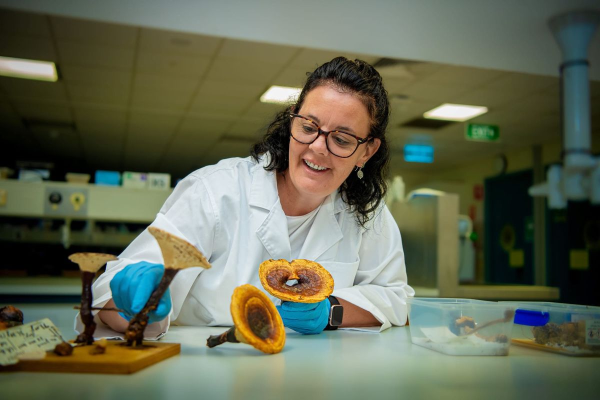 How swapping calculators for cameras led one mum down a new career path