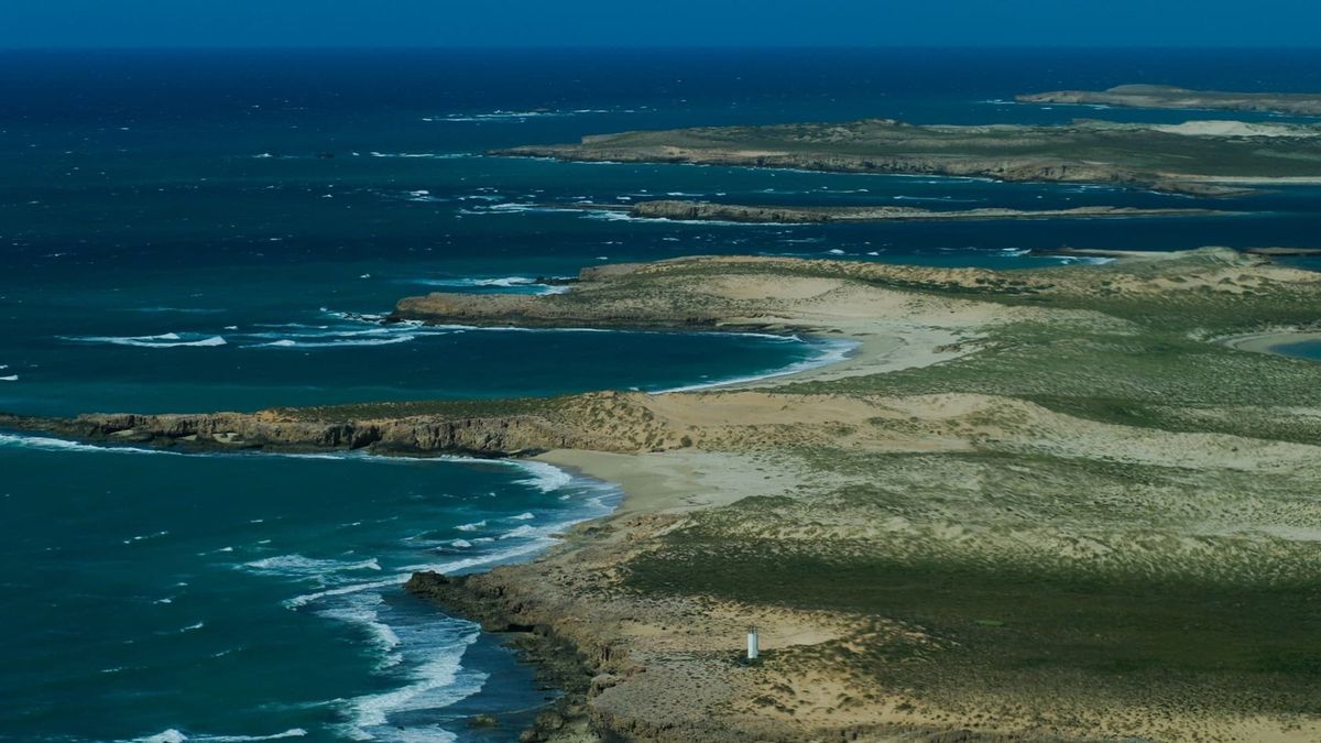 Plutonium levels at Montebello Islands remain elevated 70 years after nuclear weapons tests