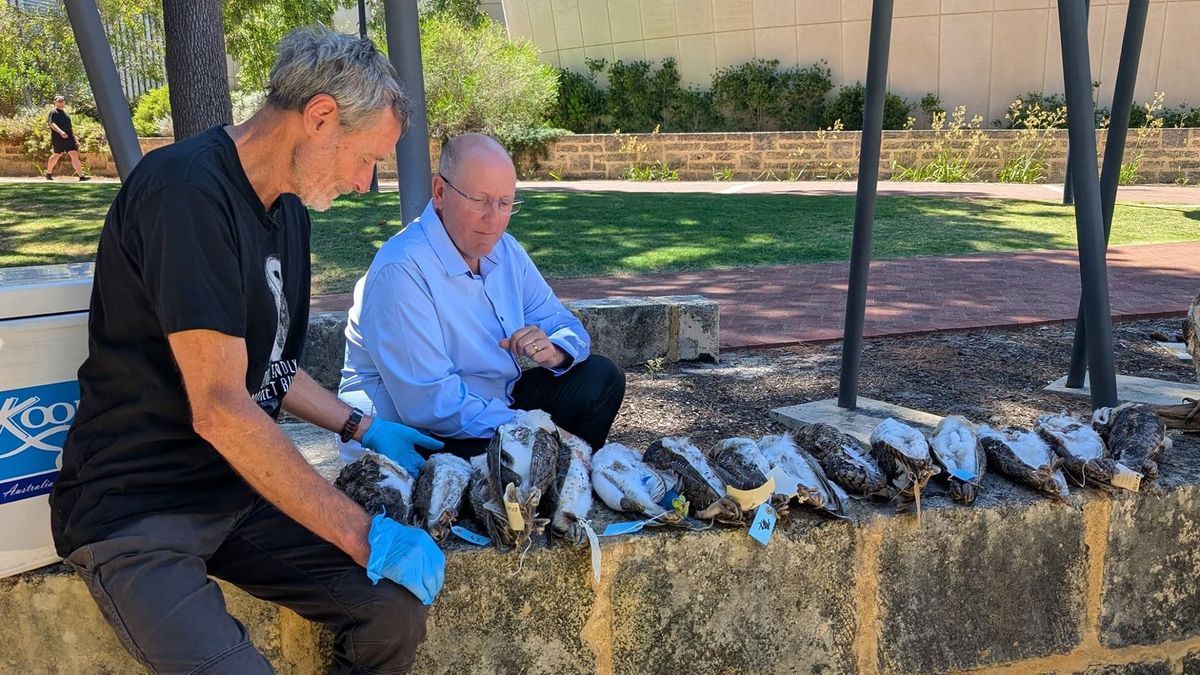 ECU research leads to ban on dangerous rat poisons