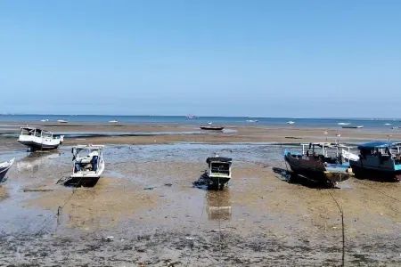 Reasons for illegal fishing “more nuanced” than previously thought, international research shows