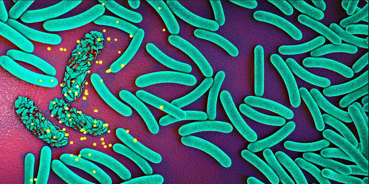 AI joins the fight against superbugs