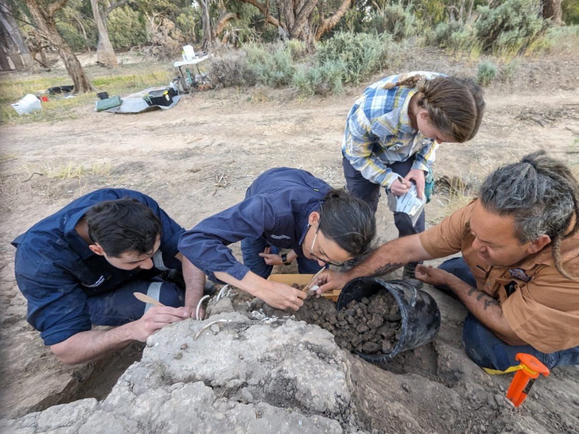 Domesticated dingo buried by Barkindji people 1,000 years ago