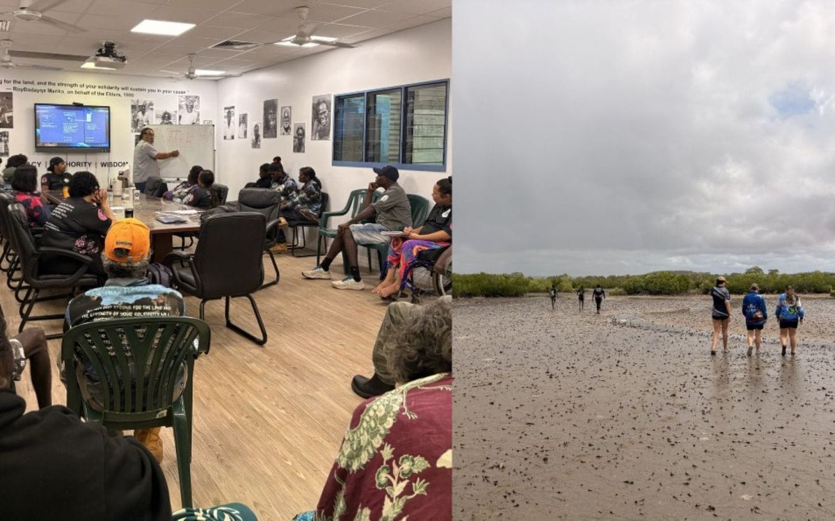 AI set to reshape Indigenous Ranger education
