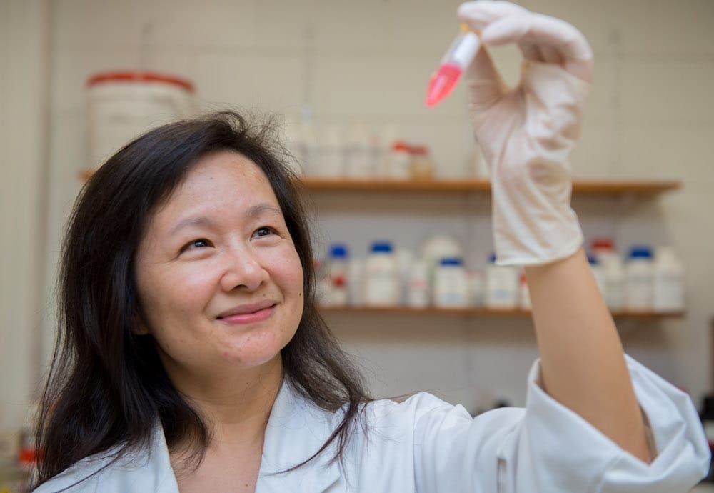 Machine learning unlocks greener pathway to urea production
