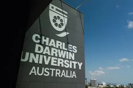 CDU rises to top 200 for impact across universities worldwide