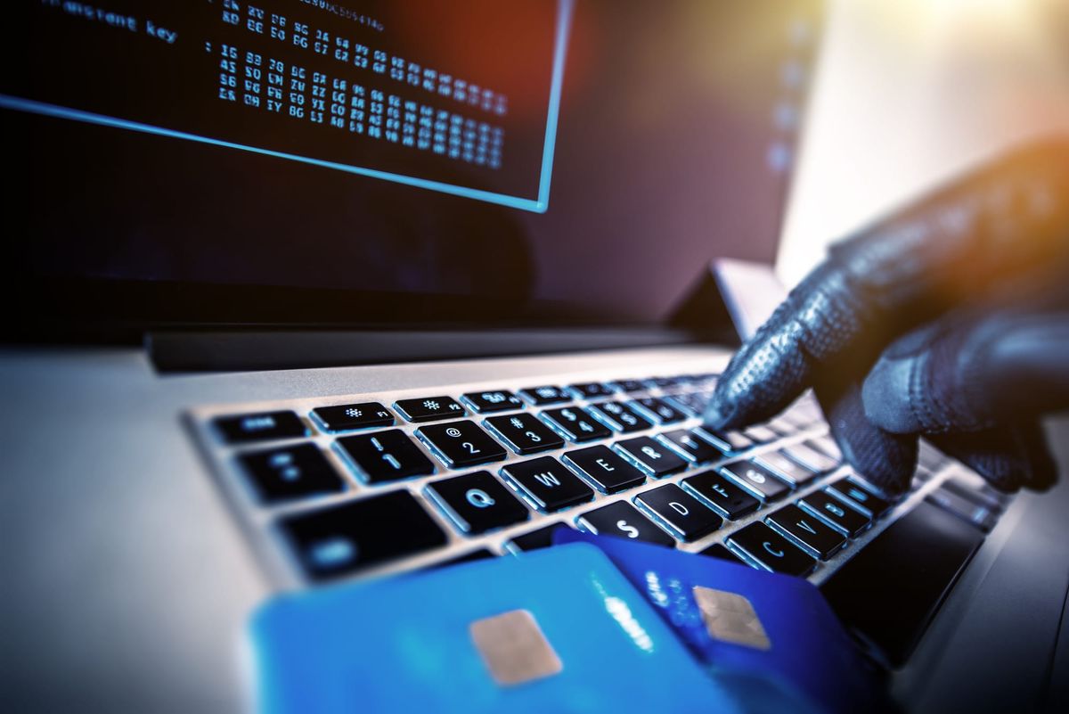 How ants are cashing in on the fight against money laundering