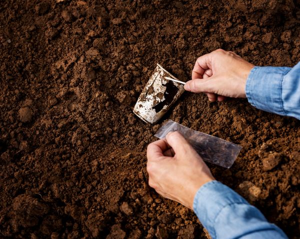 Fungi makes meal of hard to recycle plastic
