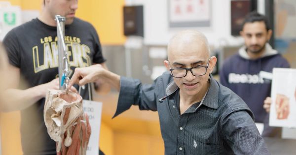 Transforming anatomy from a first-year headache to many students’ favourite subject