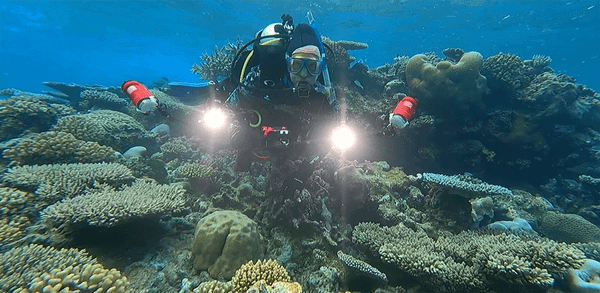 Sound solution for struggling coral reefs: new documentary charts Our Changing Planet