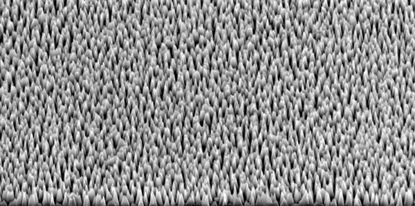 Silicon spikes take out 96% of virus particles