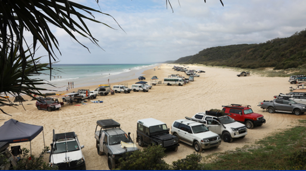 Study calls for a radical re-think of 4WD beach use to protect coastal ecosystems