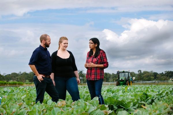 Unlocking the potential of dsRNA biopesticides: a call for global regulatory harmony