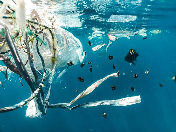 Breakthrough to combat microplastics