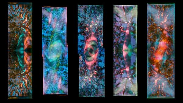 Twisted Vision: Holographic art comes alive at ECU