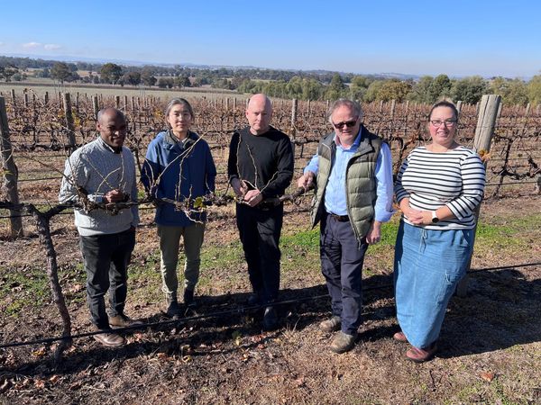 $7.94 million to boost viticulture and horticulture drought resilience in face of climate change