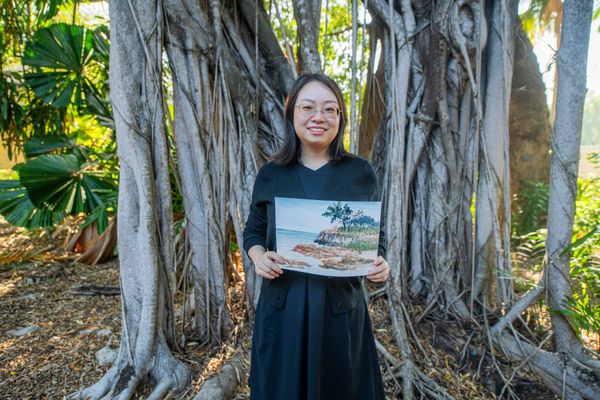 East meets Top End: Chinese scholar blends ancient ink art with Territory landscapes