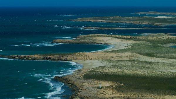 Plutonium levels at Montebello Islands remain elevated 70 years after nuclear weapons tests