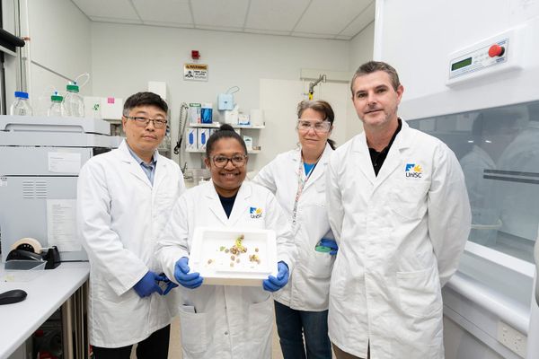 ‘Super snail’ modifies slime to fight pesticide: new research