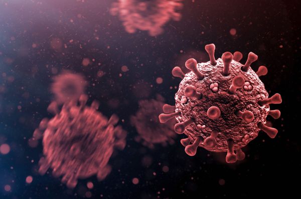 Protein discovery hope for longer COVID protection