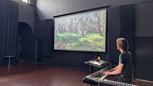 Ripairian: Performance art with agency and purpose