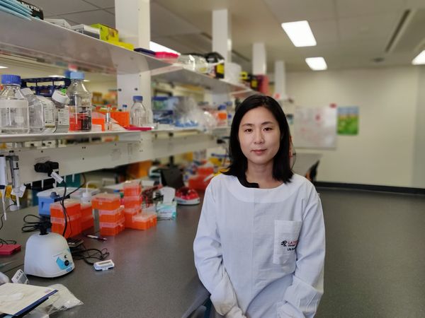 Spleen identified as new target in stroke recovery