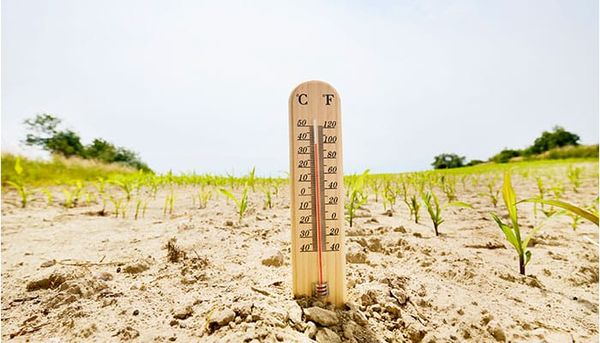 Climate inaction costing millions of lives, new report warns