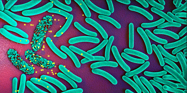 AI joins the fight against superbugs