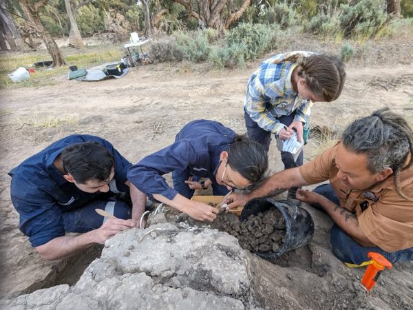 Domesticated dingo buried by Barkindji people 1,000 years ago