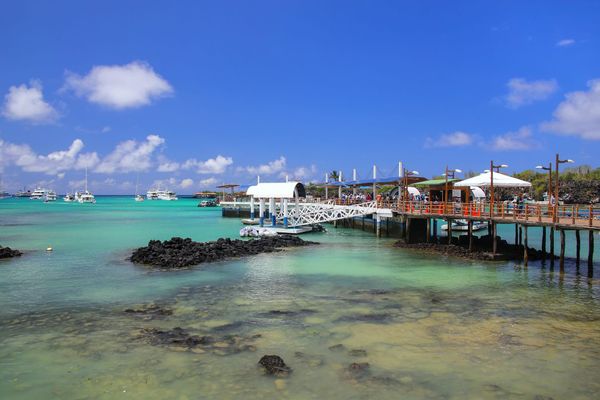A simple fix for a growing ocean threat: Research reveals cost-effective way to protect marine ecosystems from invasive species
