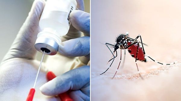 No refrigeration needed for killer disease vaccine