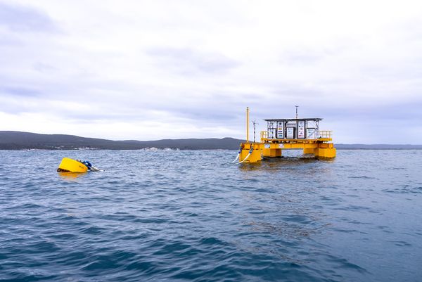 Albany wave energy project to help Australia become world leader in renewables