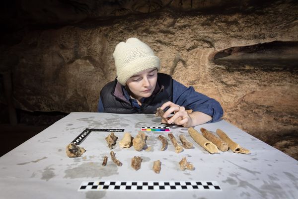 Bone ‘fingerprints’ unlock hidden stories of underwater caves