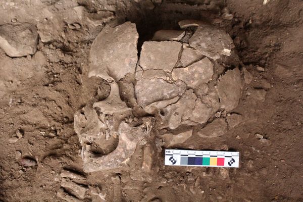 Ice Age origins of one of humanity’s oldest drug habits