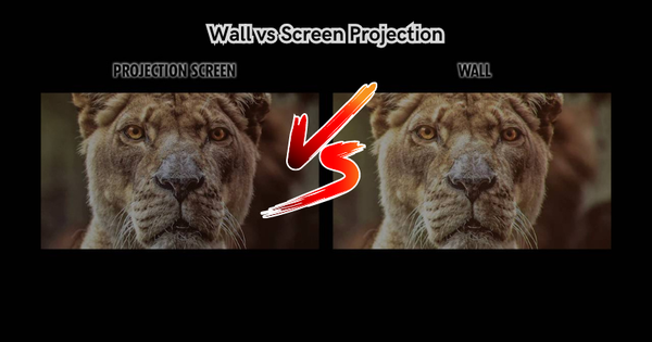 Wall vs Screen Projection