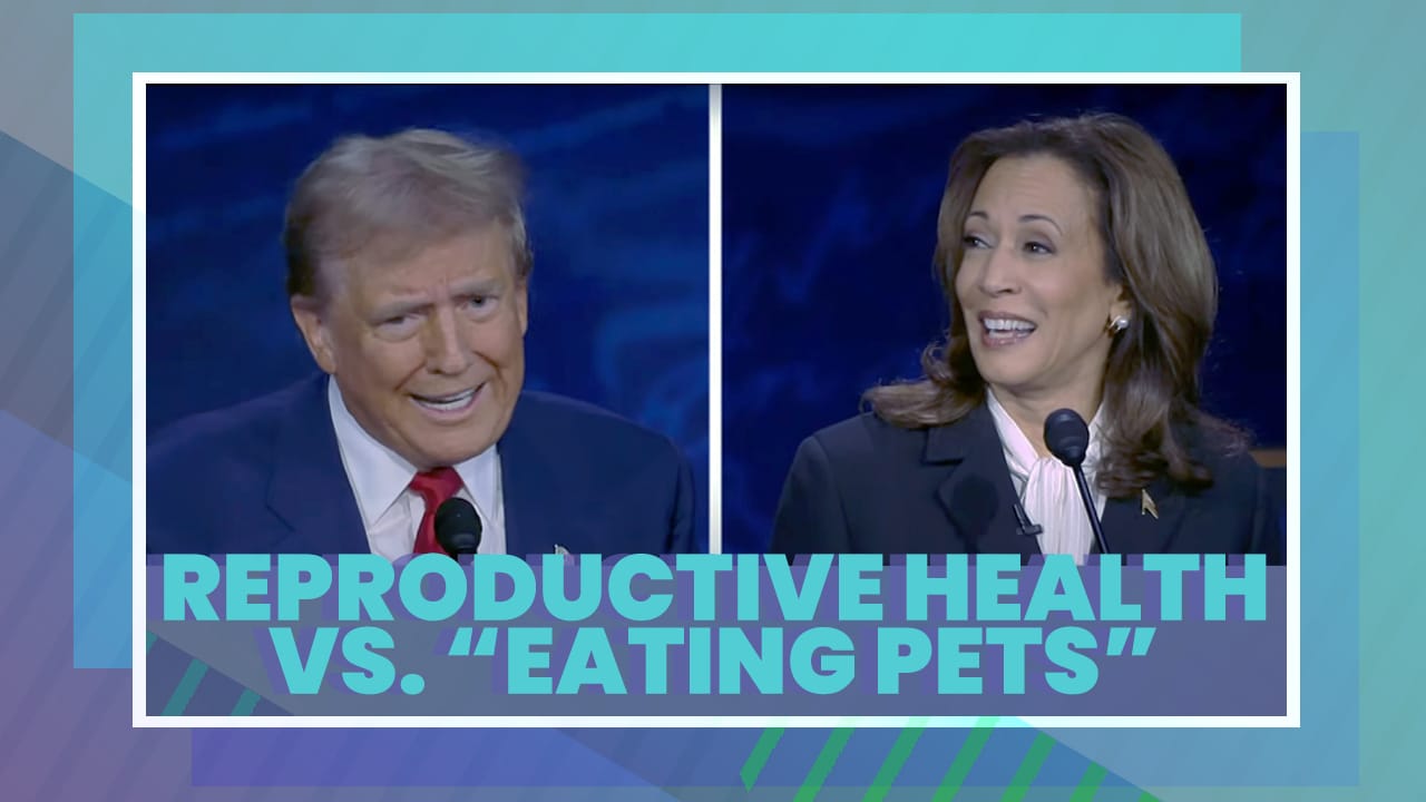 Stereoactive Presents:  Caring About Reproductive Health vs. Believing Immigrants Eat Pets // a politics discussion