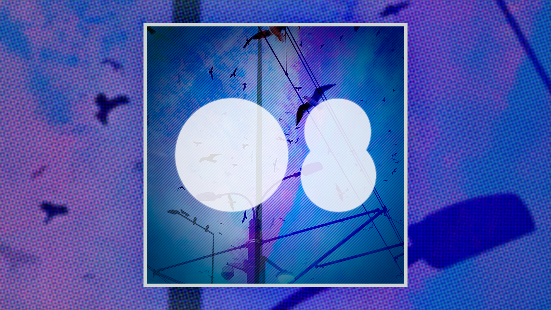 theJLM /// WKLY /// 08