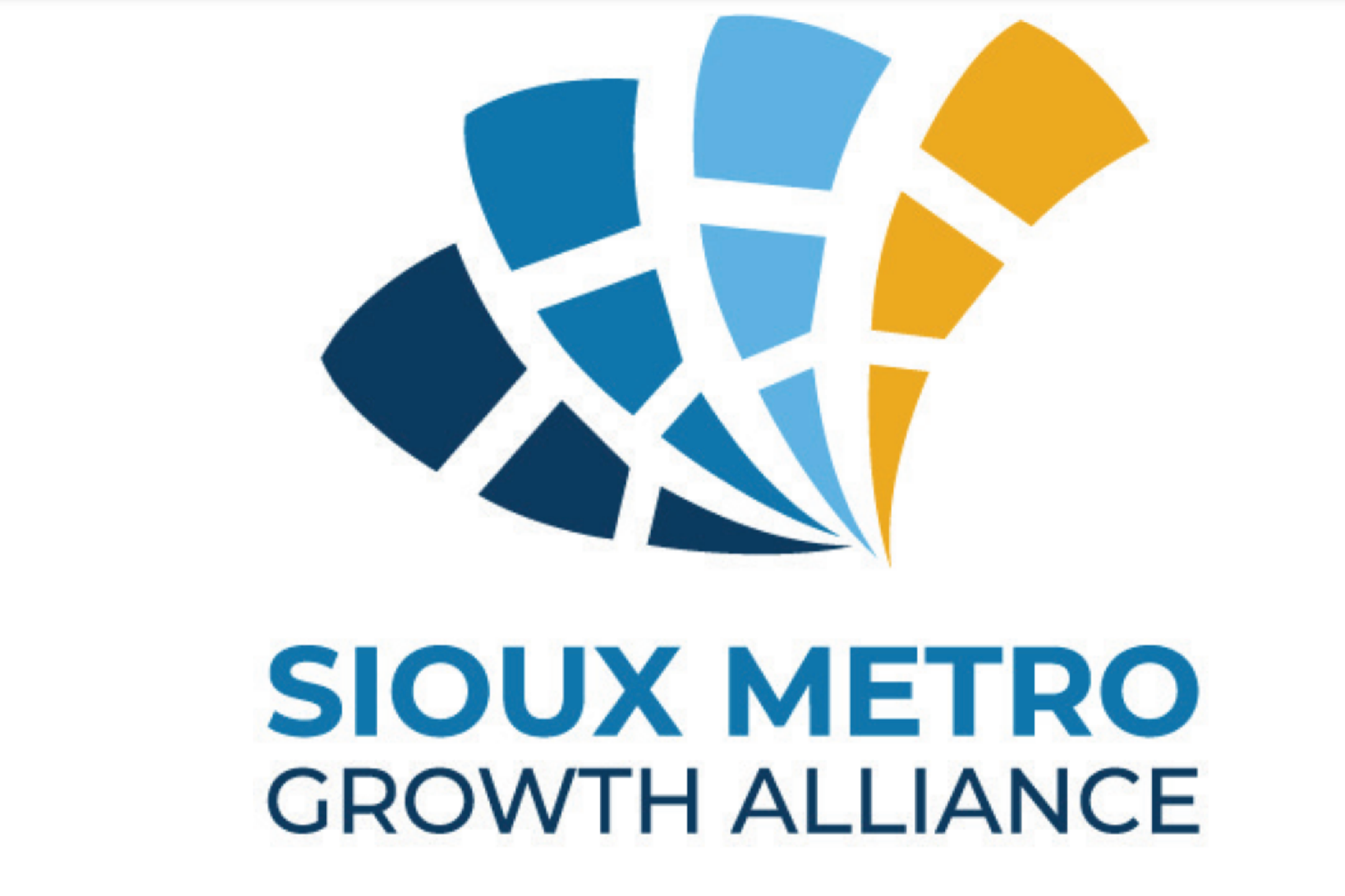 How businesses can support growth in the metro