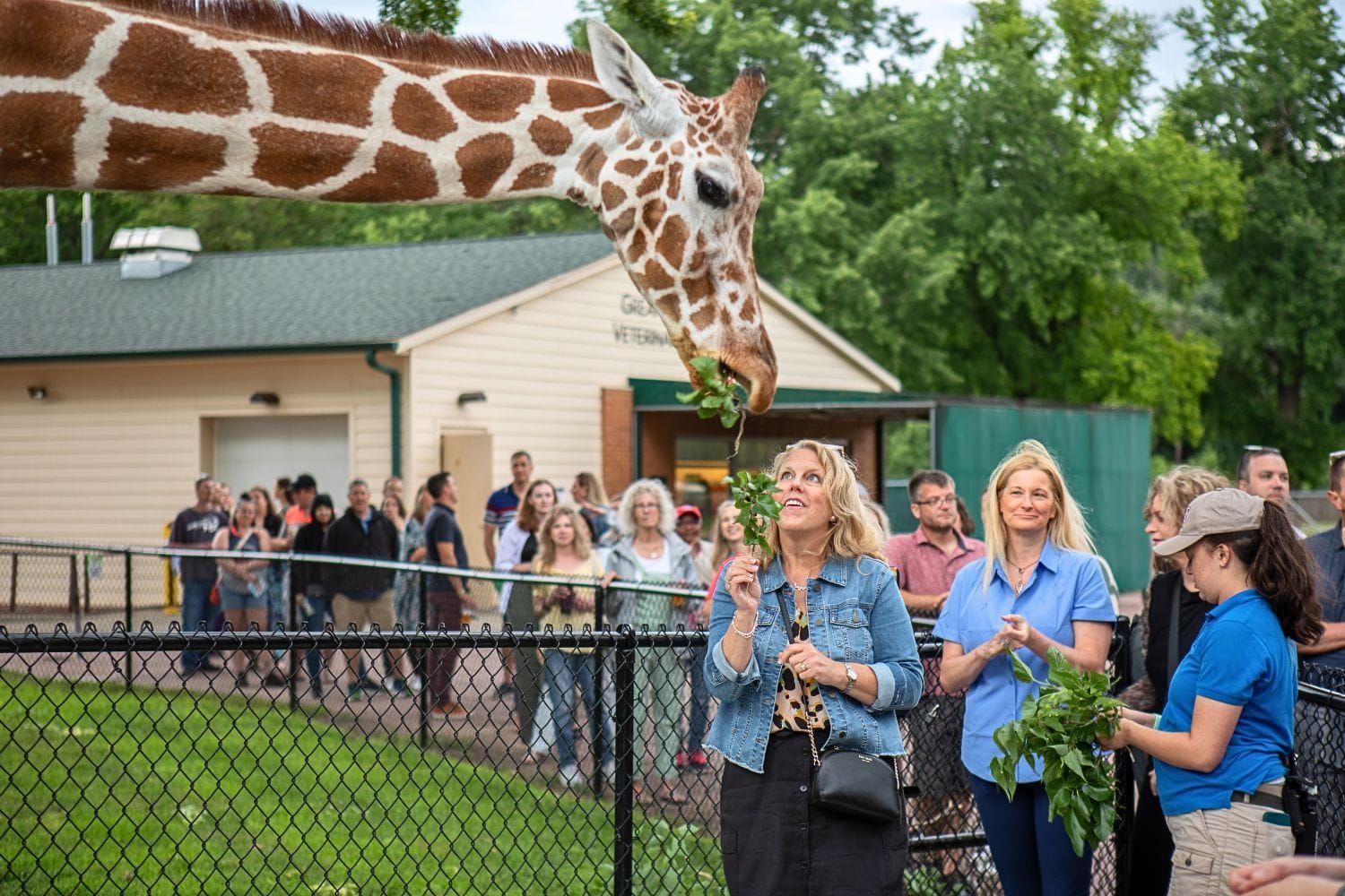 Stuff to do: June 24-30
