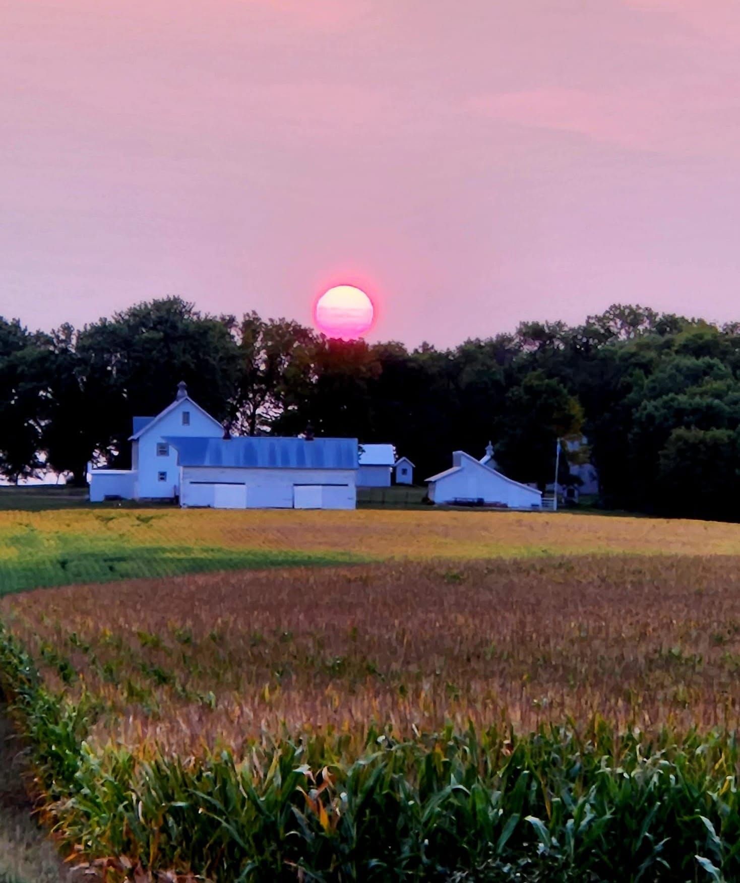 This haunted house shows what happens when you don't vote
