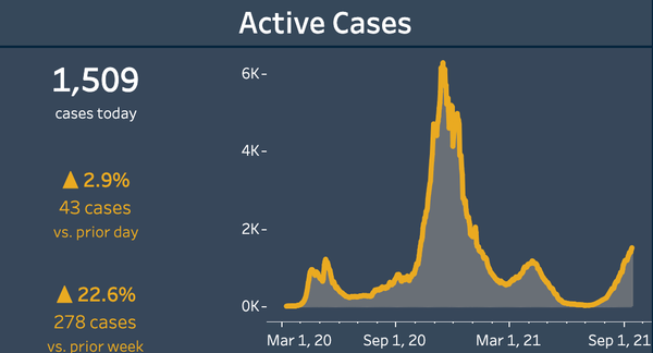Delta variant brings second-highest peak of pandemic