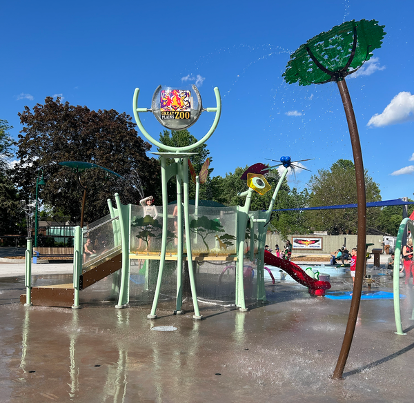 Splash pads, butterflies and teddy bear clinics: How to find fun at the zoo in June