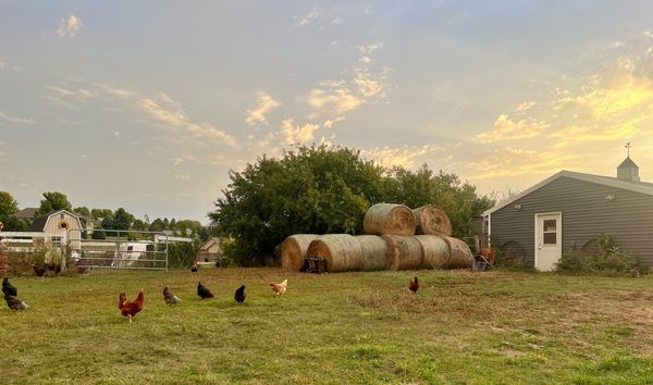 Stuff to do: June 12-18